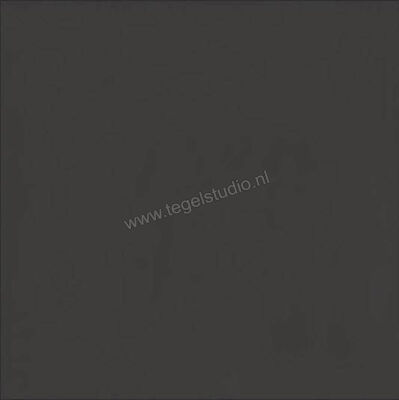  Ragno Contrasti Antracite 20x20 cm Decor Mat Vlak Naturale R7HU | 339911