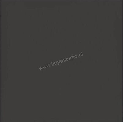  Ragno Contrasti Antracite 20x20 cm Decor Mat Vlak Naturale R7HU | 339917
