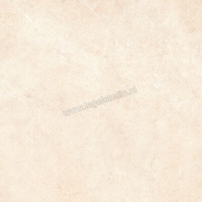  Ragno Realstone_Argent Avorio 120x120 cm Vloertegel / Wandtegel Slim Mat Vlak Naturale R8SN | 339974