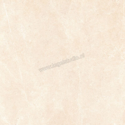  Ragno Realstone_Argent Avorio 120x120 cm Vloertegel / Wandtegel Slim Mat Vlak Naturale R8SN | 339977