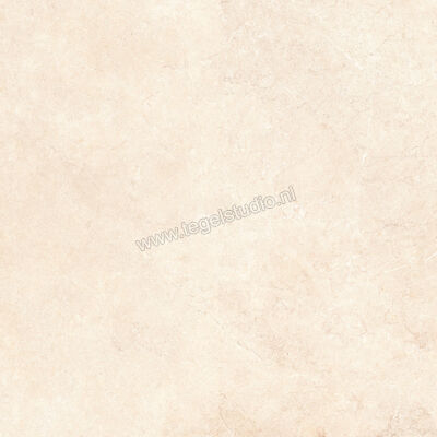  Ragno Realstone_Argent Avorio 120x120 cm Vloertegel / Wandtegel Slim Mat Vlak Naturale R8SN | 339980
