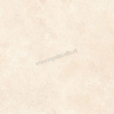  Ragno Realstone_Argent Avorio 120x120 cm Vloertegel / Wandtegel Slim Mat Vlak Naturale R8SN | 339983