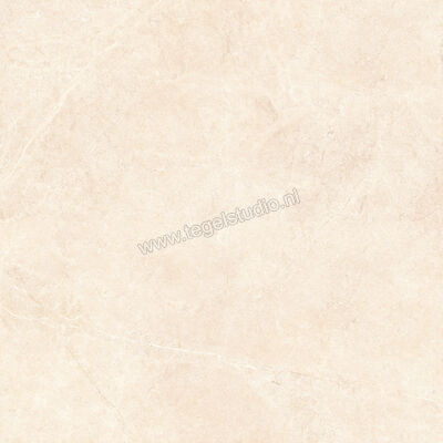  Ragno Realstone_Argent Avorio 120x120 cm Vloertegel / Wandtegel Slim Mat Vlak Naturale R8SN | 339989
