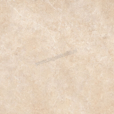  Ragno Realstone_Argent Sabbia 120x120 cm Vloertegel / Wandtegel Slim Mat Vlak Naturale R8SP | 339992