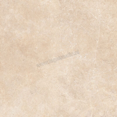  Ragno Realstone_Argent Sabbia 120x120 cm Vloertegel / Wandtegel Slim Mat Vlak Naturale R8SP | 339998