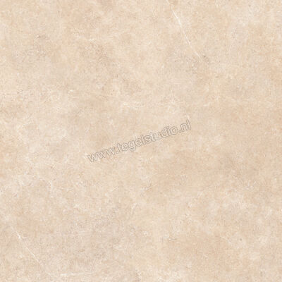  Ragno Realstone_Argent Sabbia 120x120 cm Vloertegel / Wandtegel Slim Mat Vlak Naturale R8SP | 340001