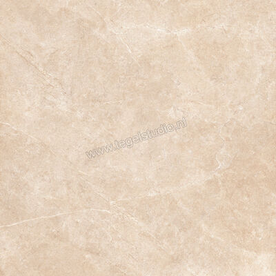  Ragno Realstone_Argent Sabbia 120x120 cm Vloertegel / Wandtegel Slim Mat Vlak Naturale R8SP | 340004