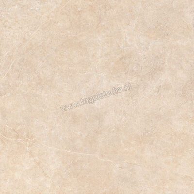  Ragno Realstone_Argent Sabbia 120x120 cm Vloertegel / Wandtegel Slim Mat Vlak Naturale R8SP | 340007