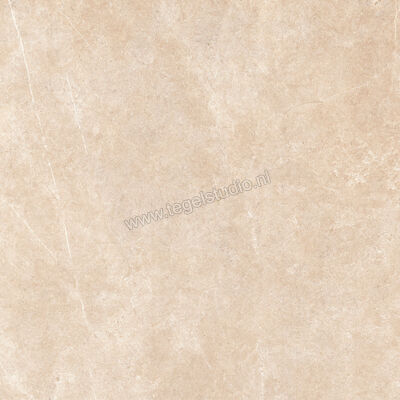  Ragno Realstone_Argent Sabbia 120x120 cm Vloertegel / Wandtegel Slim Mat Vlak Naturale R8SP | 340010