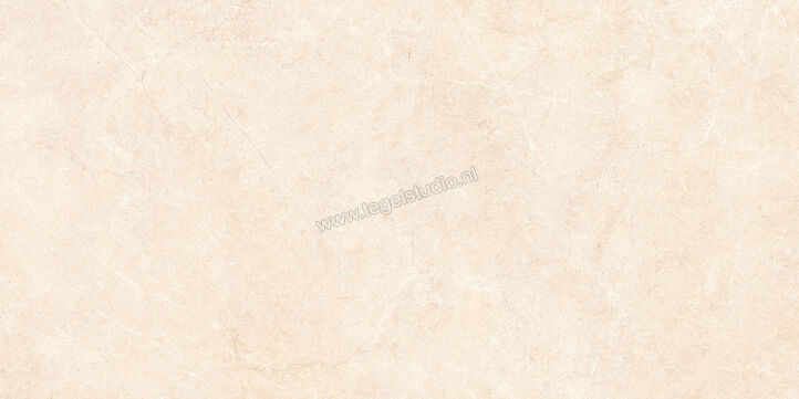  Ragno Realstone_Argent Avorio 60x120 cm Vloertegel / Wandtegel Slim Mat Vlak Naturale R8SR | 340031