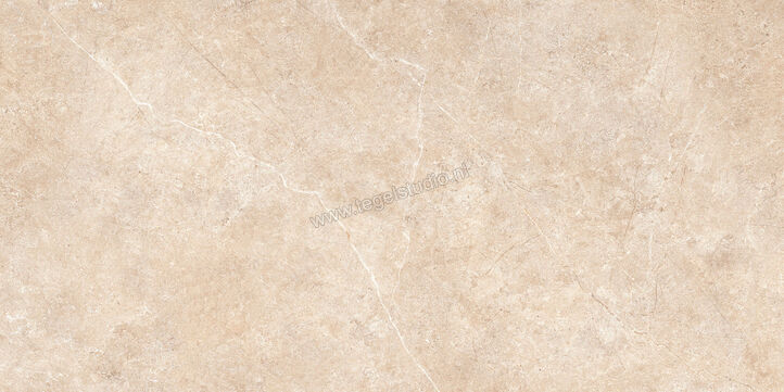  Ragno Realstone_Argent Sabbia 60x120 cm Vloertegel / Wandtegel Slim Mat Vlak Naturale R8SS | 340040