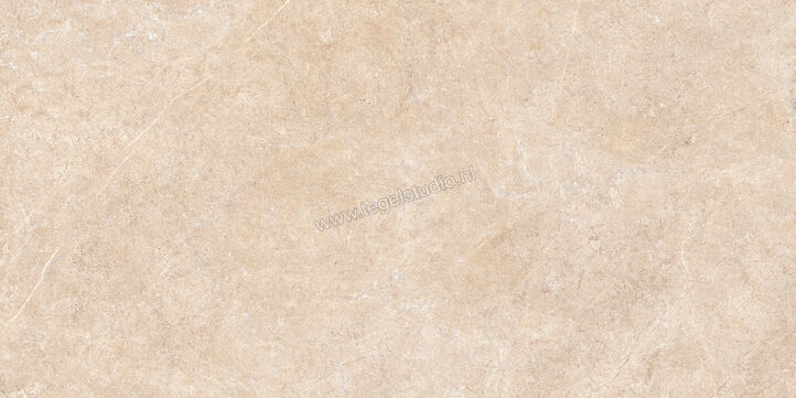  Ragno Realstone_Argent Sabbia 60x120 cm Vloertegel / Wandtegel Slim Mat Vlak Naturale R8SS | 340055