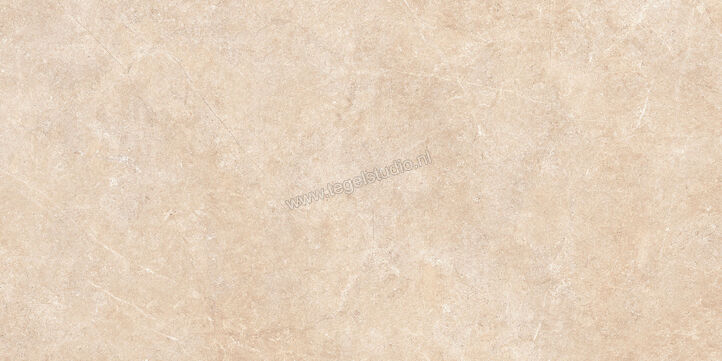 Ragno Realstone_Argent Sabbia 60x120 cm Vloertegel / Wandtegel Slim Mat Vlak Naturale R8SS | 340058