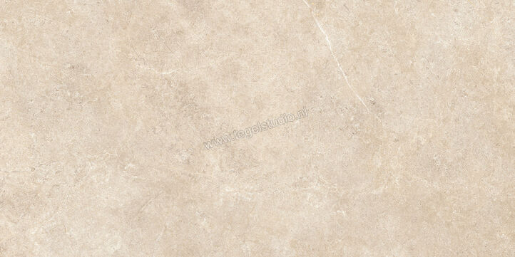  Ragno Realstone_Argent Sabbia 60x120 cm Vloertegel / Wandtegel Mat Vlak Naturale R9HC | 340103