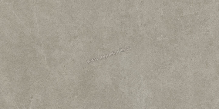  Ragno Realstone_Argent Ghiaccio 60x120 cm Vloertegel / Wandtegel Mat Vlak Naturale R9HD | 340124