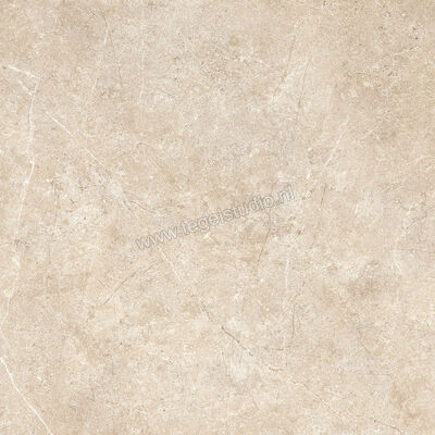  Ragno Realstone_Argent Sabbia 60x60 cm Vloertegel / Wandtegel Mat Vlak Naturale R9HU | 340310
