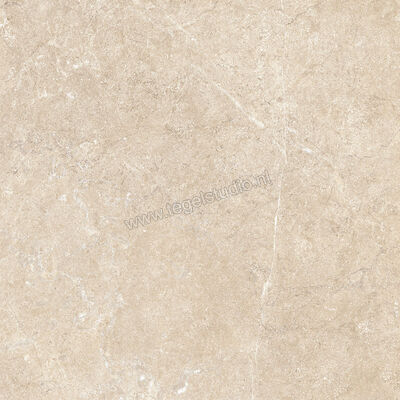  Ragno Realstone_Argent Sabbia 60x60 cm Vloertegel / Wandtegel Mat Vlak Naturale R9HU | 340316