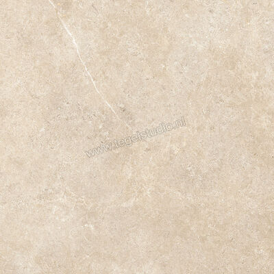  Ragno Realstone_Argent Sabbia 60x60 cm Vloertegel / Wandtegel Mat Vlak Naturale R9HU | 340319