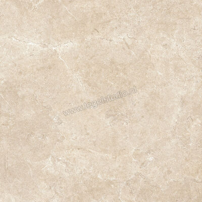  Ragno Realstone_Argent Sabbia 60x60 cm Vloertegel / Wandtegel Mat Vlak Naturale R9HU | 340322