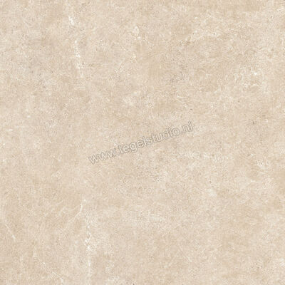  Ragno Realstone_Argent Sabbia 60x60 cm Vloertegel / Wandtegel Mat Vlak Naturale R9HU | 340331
