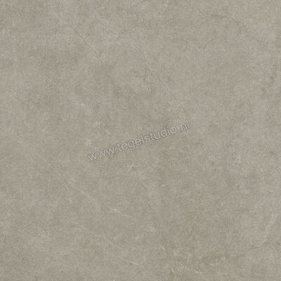  Ragno Realstone_Argent Ghiaccio 60x60 cm Vloertegel / Wandtegel Mat Vlak Naturale R9HW | 340337