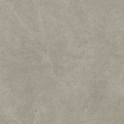  Ragno Realstone_Argent Ghiaccio 60x60 cm Vloertegel / Wandtegel Mat Vlak Naturale R9HW | 340340