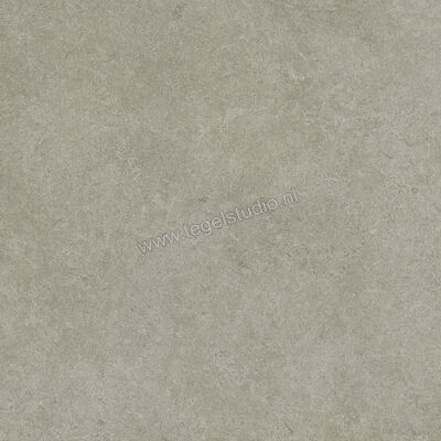  Ragno Realstone_Argent Ghiaccio 60x60 cm Vloertegel / Wandtegel Mat Vlak Naturale R9HW | 340343