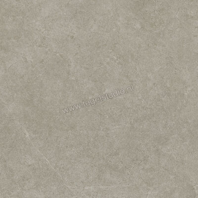  Ragno Realstone_Argent Ghiaccio 60x60 cm Vloertegel / Wandtegel Mat Vlak Naturale R9HW | 340349