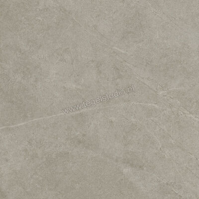  Ragno Realstone_Argent Ghiaccio 60x60 cm Vloertegel / Wandtegel Mat Vlak Naturale R9HW | 340352