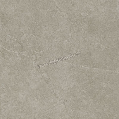  Ragno Realstone_Argent Ghiaccio 60x60 cm Vloertegel / Wandtegel Mat Vlak Naturale R9HW | 340355