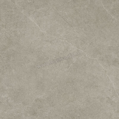  Ragno Realstone_Argent Ghiaccio 60x60 cm Vloertegel / Wandtegel Mat Vlak Naturale R9HW | 340358