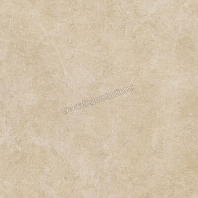  Ragno Realstone_Argent Miele 60x60 cm Vloertegel / Wandtegel Mat Vlak Naturale R9HX | 340364