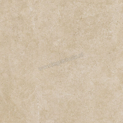  Ragno Realstone_Argent Miele 60x60 cm Vloertegel / Wandtegel Mat Vlak Naturale R9HX | 340367