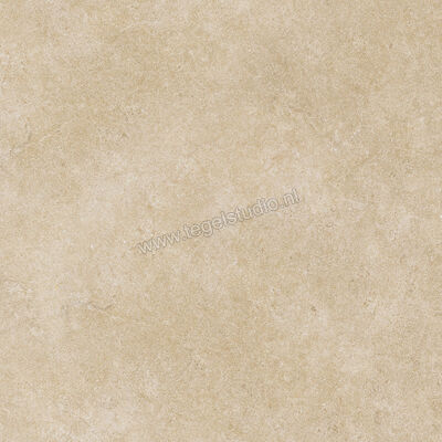  Ragno Realstone_Argent Miele 60x60 cm Vloertegel / Wandtegel Mat Vlak Naturale R9HX | 340373