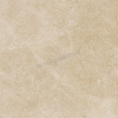  Ragno Realstone_Argent Miele 60x60 cm Vloertegel / Wandtegel Mat Vlak Naturale R9HX | 340376