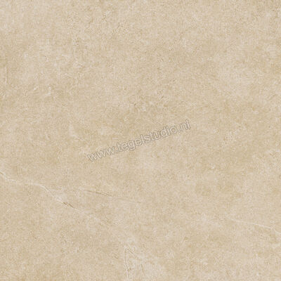  Ragno Realstone_Argent Miele 60x60 cm Vloertegel / Wandtegel Mat Vlak Naturale R9HX | 340379