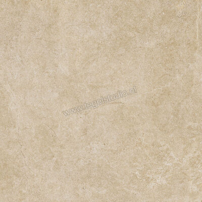  Ragno Realstone_Argent Miele 60x60 cm Vloertegel / Wandtegel Mat Vlak Naturale R9HX | 340385