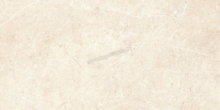  Ragno Realstone_Argent Avorio 30x60 cm Vloertegel / Wandtegel Mat Vlak Naturale R9J0 | 340391