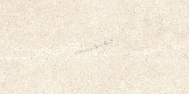  Ragno Realstone_Argent Avorio 30x60 cm Vloertegel / Wandtegel Mat Vlak Naturale R9J0 | 340412