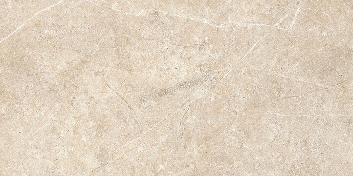  Ragno Realstone_Argent Sabbia 30x60 cm Vloertegel / Wandtegel Mat Vlak Naturale R9JC | 340418