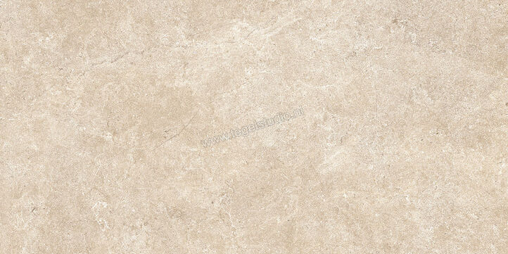  Ragno Realstone_Argent Sabbia 30x60 cm Vloertegel / Wandtegel Mat Vlak Naturale R9JC | 340421