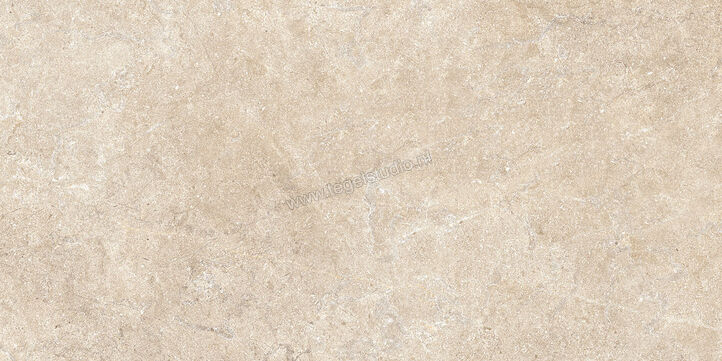  Ragno Realstone_Argent Sabbia 30x60 cm Vloertegel / Wandtegel Mat Vlak Naturale R9JC | 340433