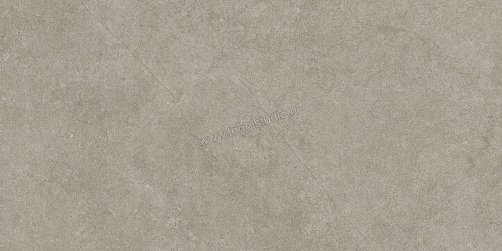  Ragno Realstone_Argent Ghiaccio 30x60 cm Vloertegel / Wandtegel Mat Vlak Naturale R9JD | 340445