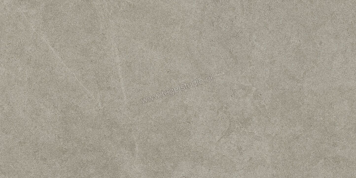  Ragno Realstone_Argent Ghiaccio 30x60 cm Vloertegel / Wandtegel Mat Vlak Naturale R9JD | 340448