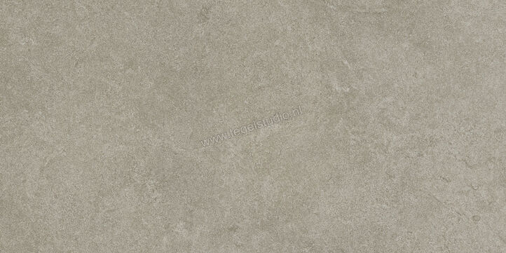  Ragno Realstone_Argent Ghiaccio 30x60 cm Vloertegel / Wandtegel Mat Vlak Naturale R9JD | 340451