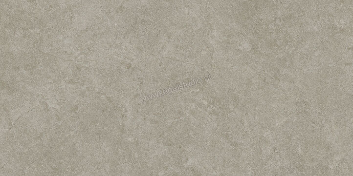  Ragno Realstone_Argent Ghiaccio 30x60 cm Vloertegel / Wandtegel Mat Vlak Naturale R9JD | 340457