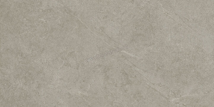  Ragno Realstone_Argent Ghiaccio 30x60 cm Vloertegel / Wandtegel Mat Vlak Naturale R9JD | 340460