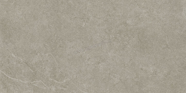  Ragno Realstone_Argent Ghiaccio 30x60 cm Vloertegel / Wandtegel Mat Vlak Naturale R9JD | 340463