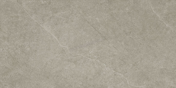  Ragno Realstone_Argent Ghiaccio 30x60 cm Vloertegel / Wandtegel Mat Vlak Naturale R9JD | 340466
