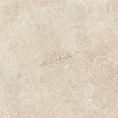  Ragno Realstone_Argent Sabbia 75x75 cm Vloertegel / Wandtegel Mat Vlak Naturale R9JK | 340529